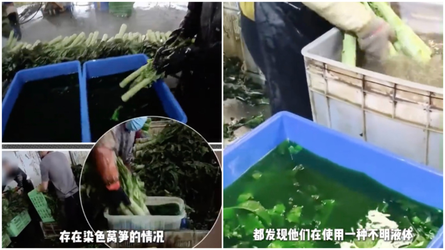 商户用不明液体浸泡 甘肃榆中爆出“染色莴笋”
