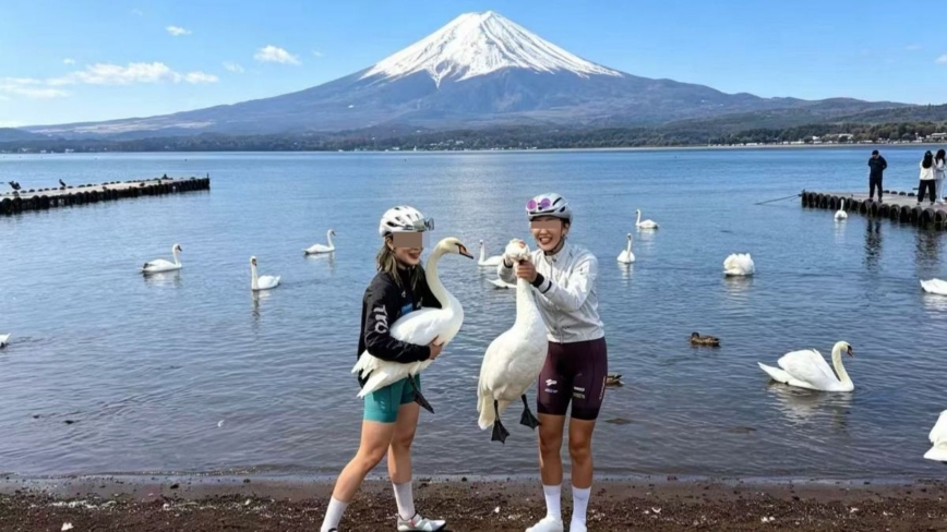 中国女游客富士山抓天鹅捏颈照疯传 惹众怒（视频）