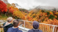 北海道十勝岳噴發警戒升至3級 局部地區禁入