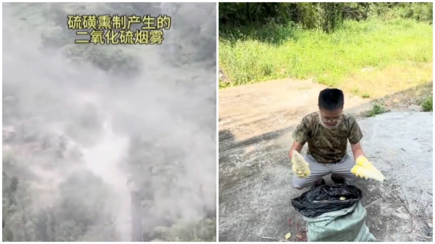 曝光甲醛白菜的博主 再次曝光硫黄竹笋