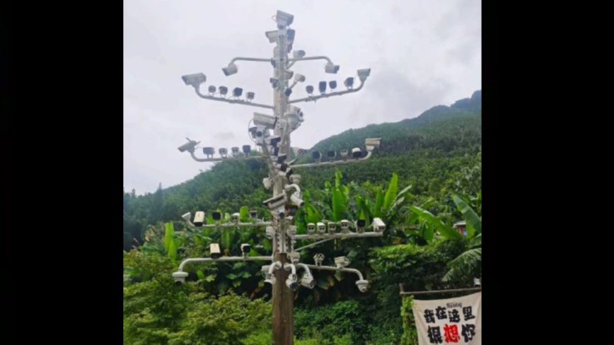 江西村庄惊现“监控树” 一根杆挂84摄像头(视频)