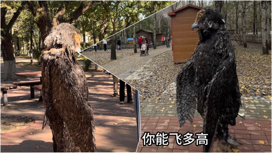 沈阳鸟岛景区“雕兄”走红 游客喊老鹰遭它回怼