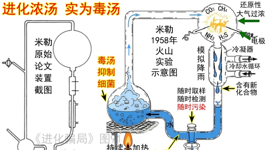 进化骗局(29) 进化原汤 闪烁怪异之光