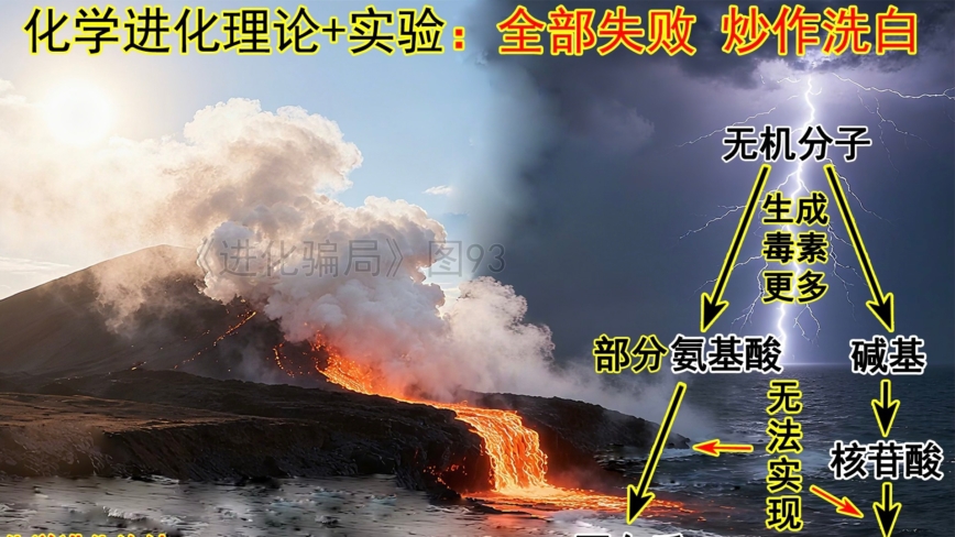 进化骗局(30) 化学进化坍塌 生物进化自垮