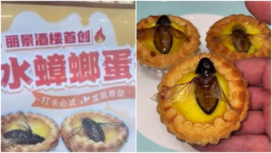 佛山“水蟑螂蛋塔”走红 意大利人也慕名而来