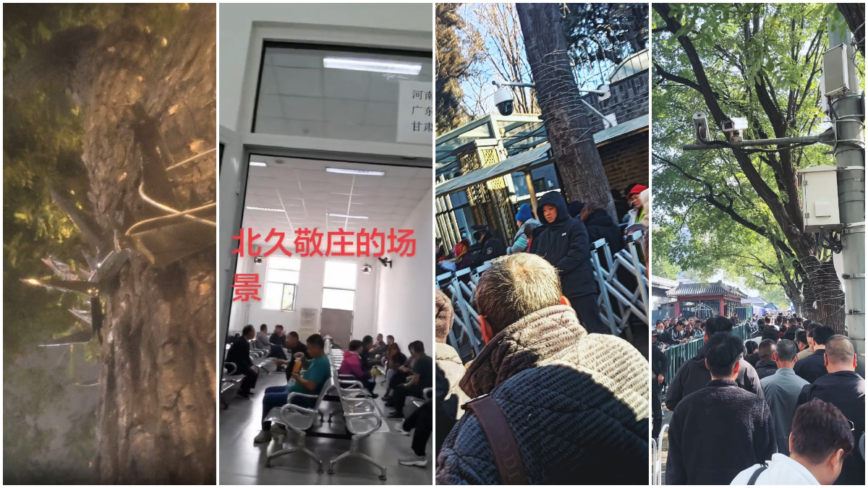 Mandarin News — The Leading Chinese Global Media Platform