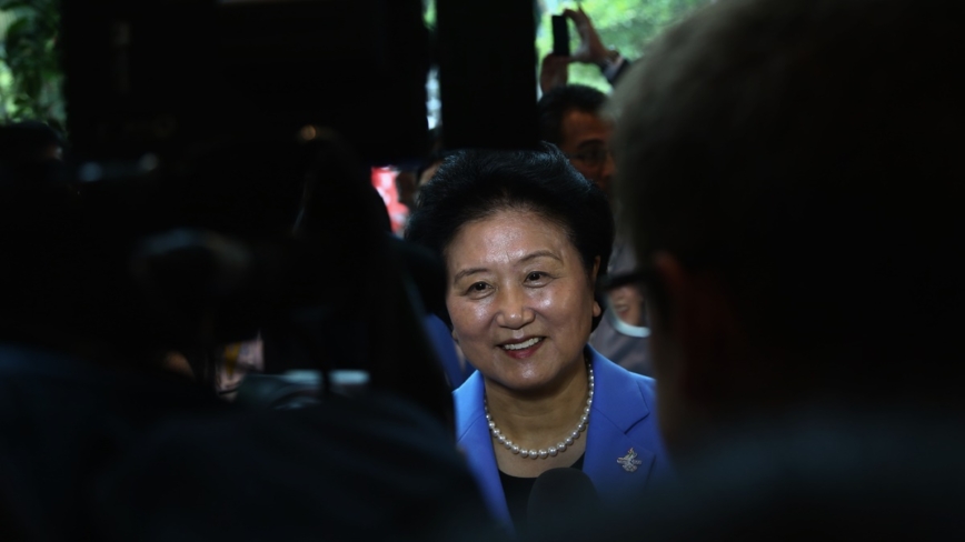 五中全会期间 中共前副总理刘延东去世